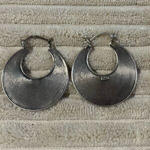 Elegant Silver Hoop Earrings